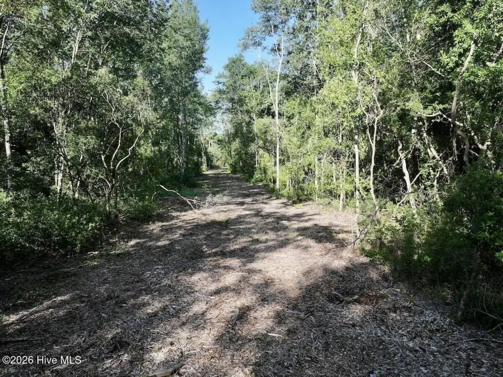 Picture 9