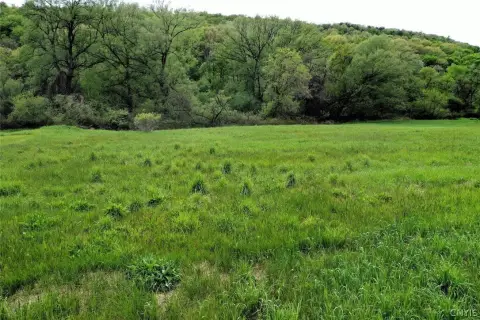 Hornell Land with Recreational Potential