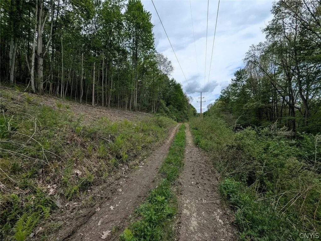 Picture 21