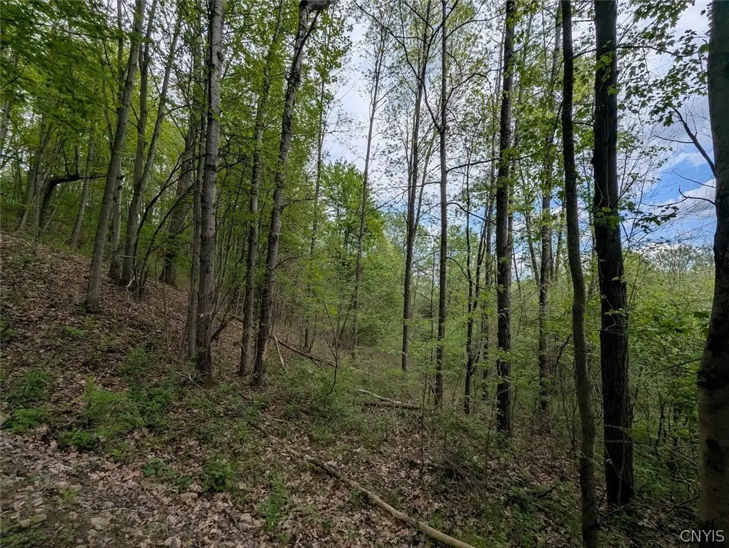 Picture 16