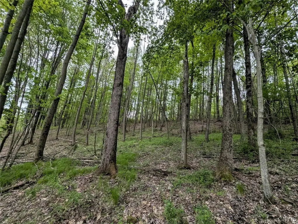 Picture 23