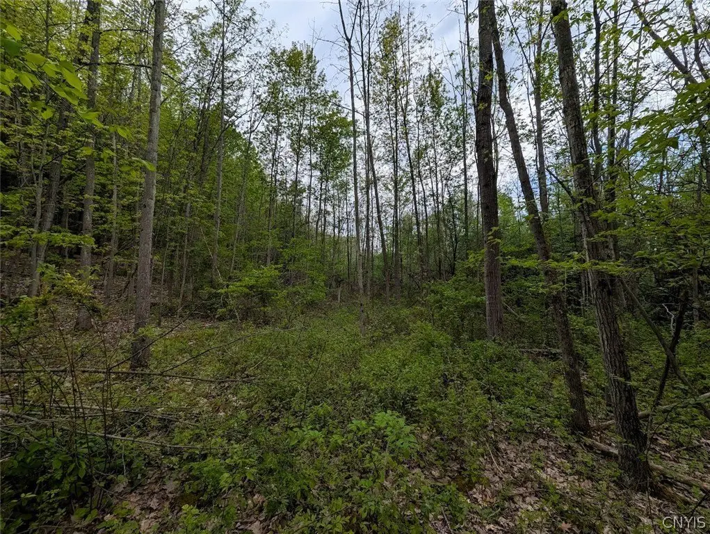 Picture 26