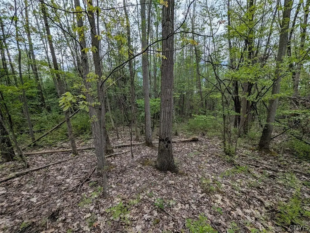 Picture 31