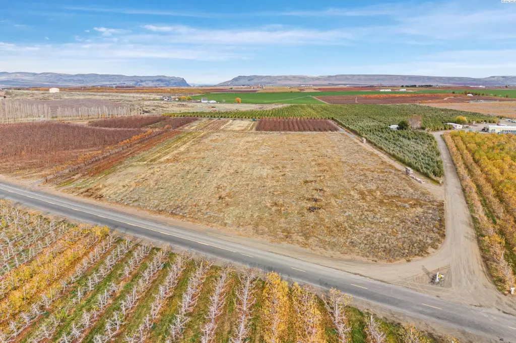 Picture 10
