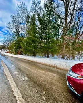 Land Near Houghton Lake, MI