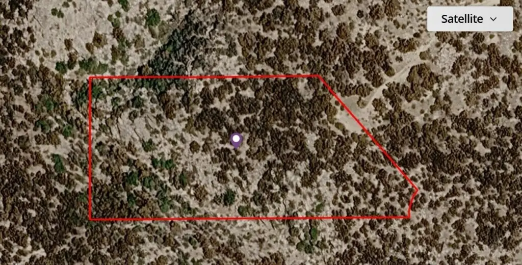 Picture 2
