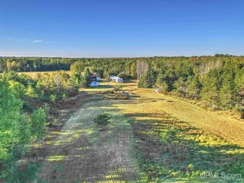 80 Acres of UP Wilderness