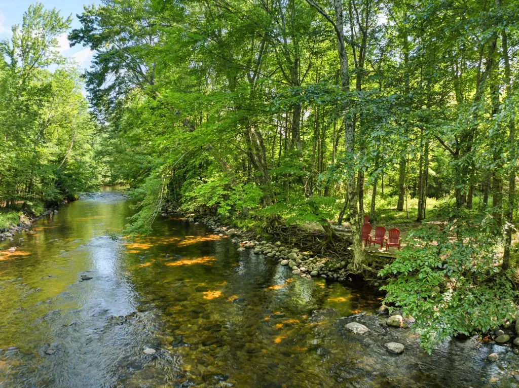 Picture 38