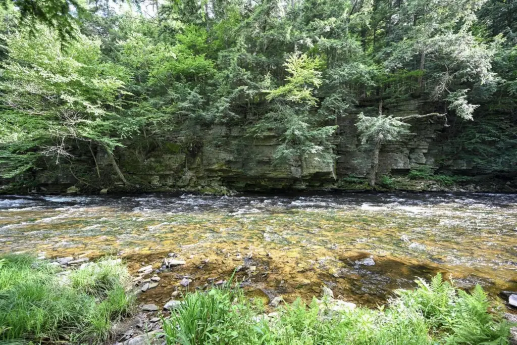 Picture 11