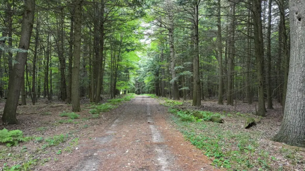Picture 6