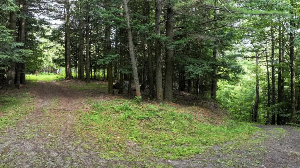 Picture 3