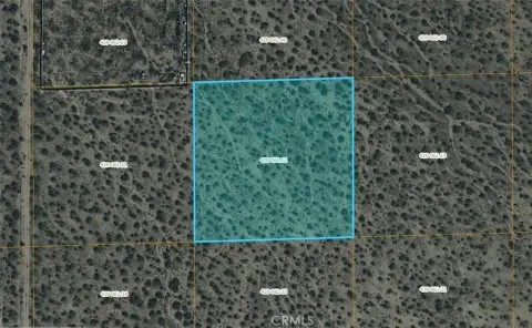 Mojave Land Investment Opportunity