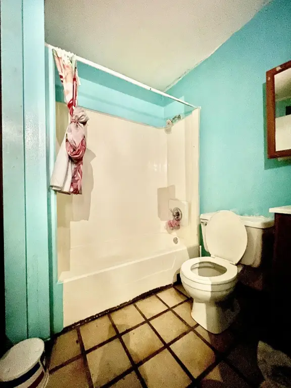 Picture 16