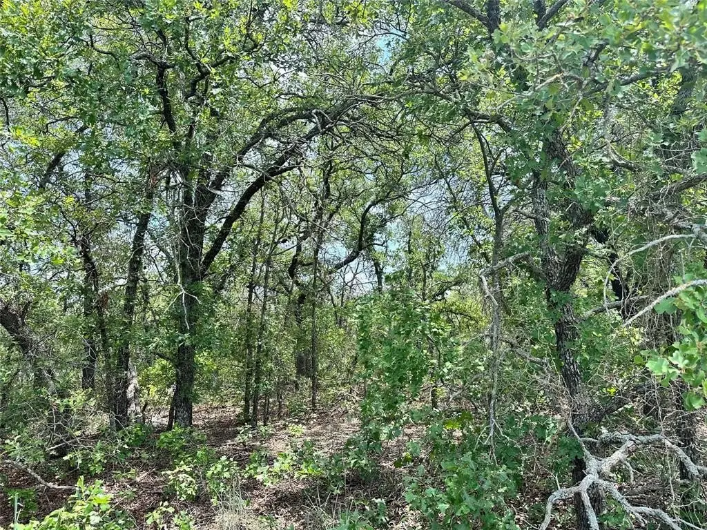 Picture 13
