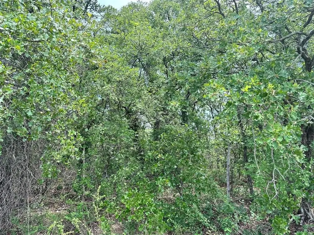 Picture 19
