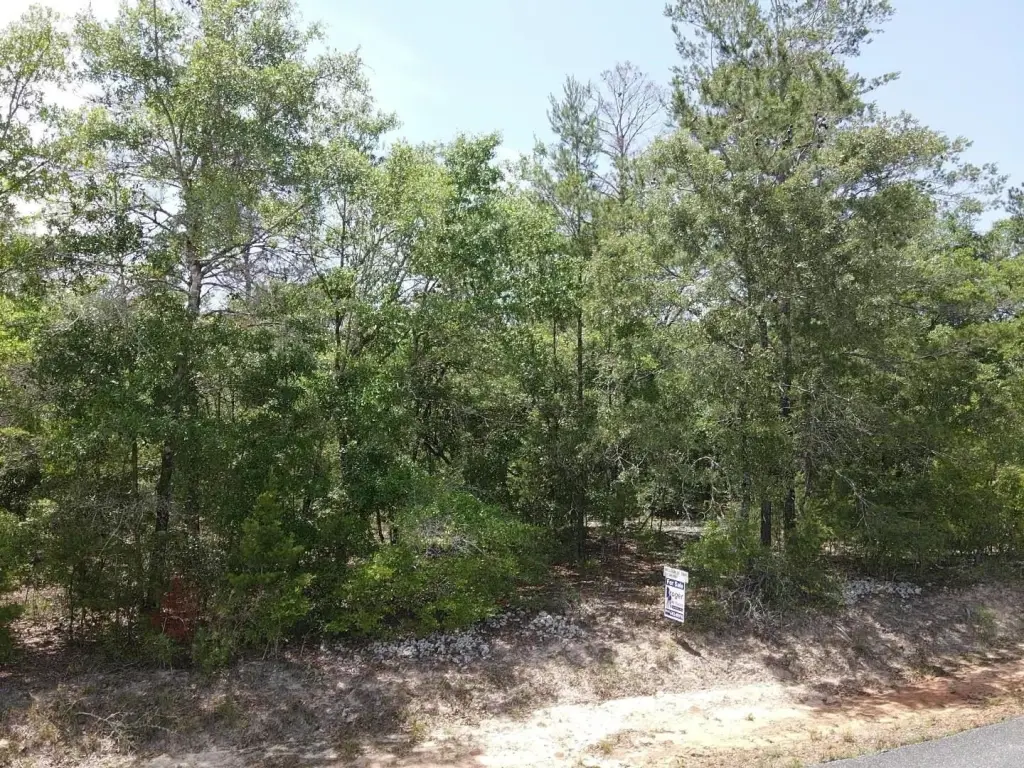 Picture 5