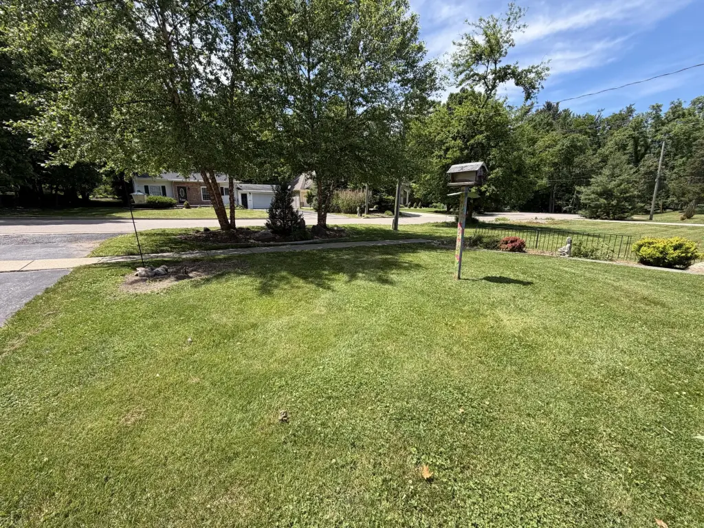Picture 20