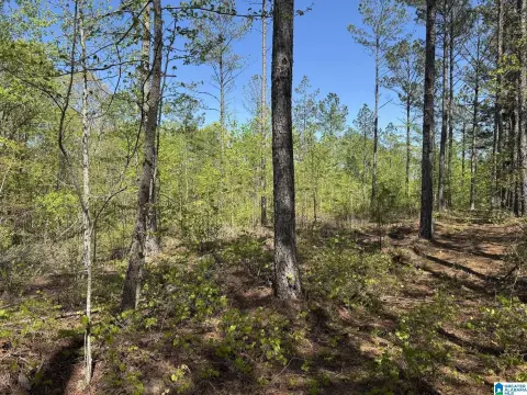 10 Acres with Creek Frontage