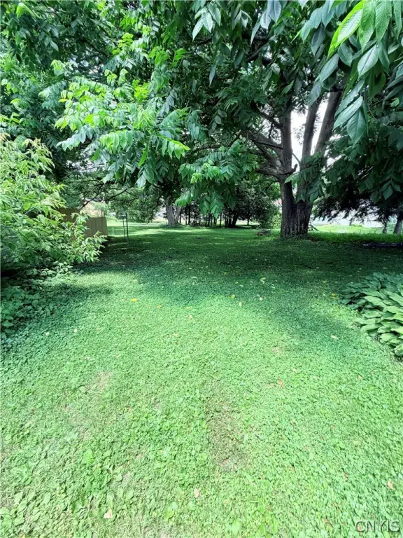 Picture 27
