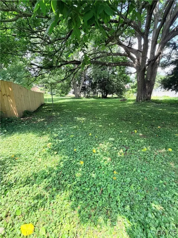 Picture 28
