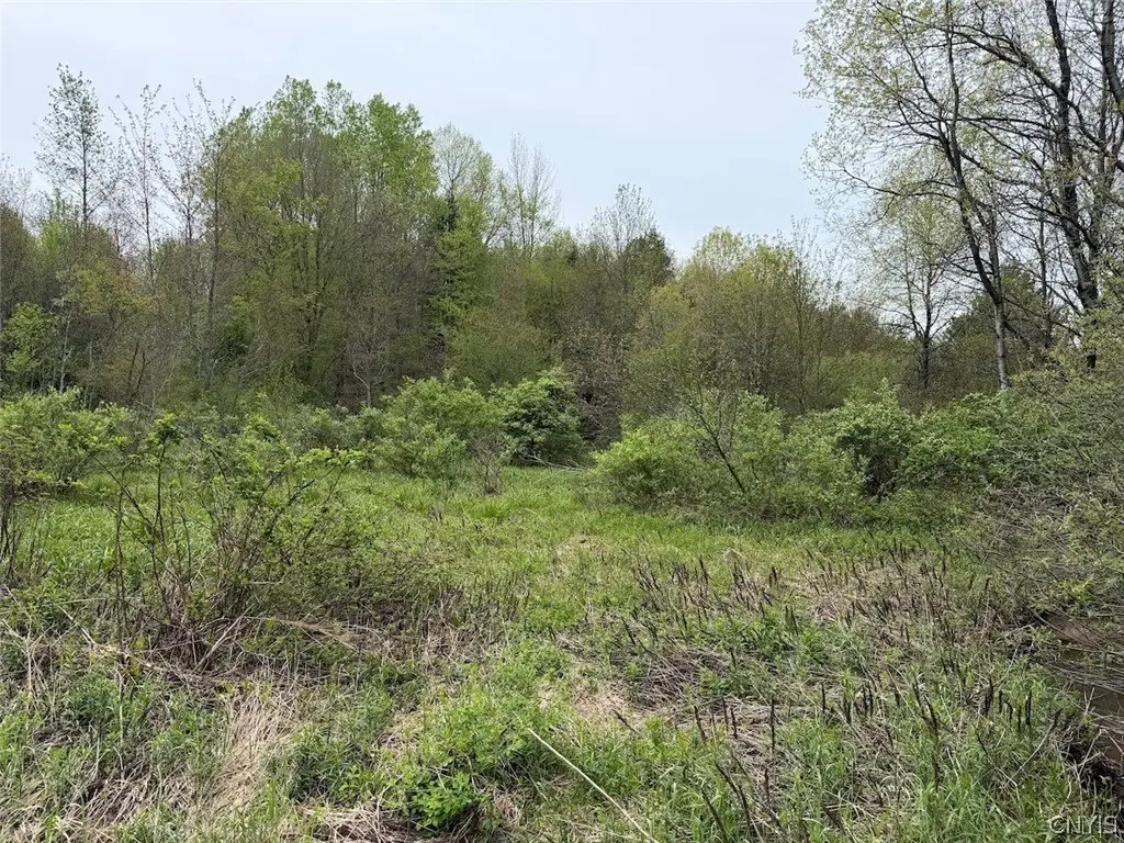 Picture 20
