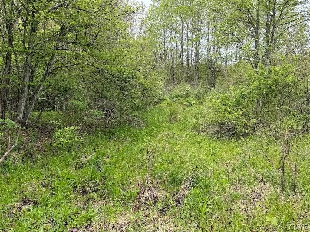 Picture 22