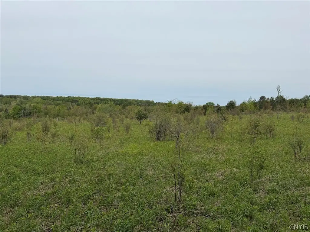 Picture 34