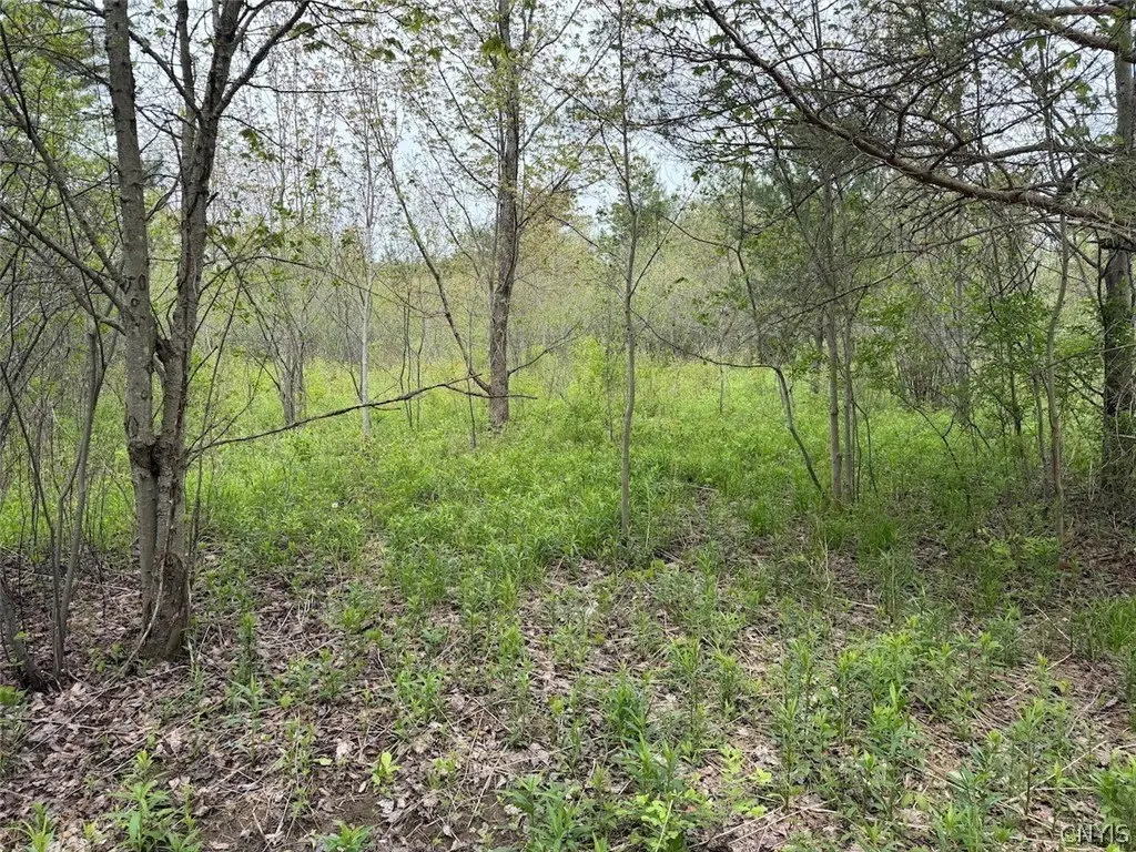 Picture 15
