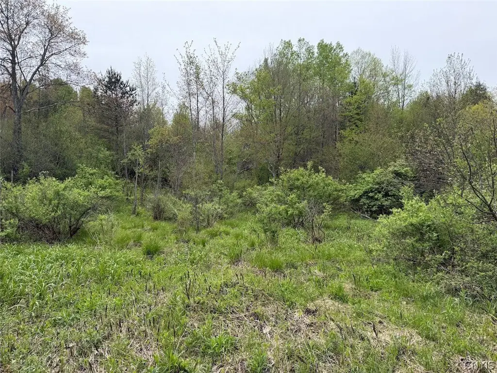 Picture 18