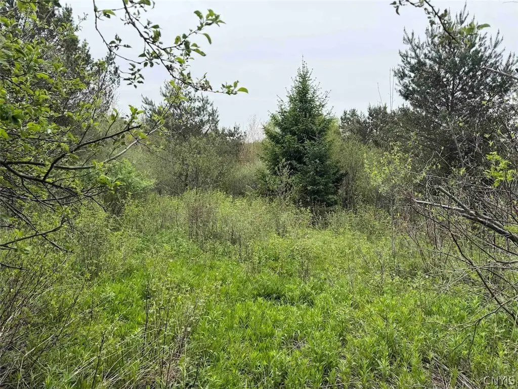 Picture 7