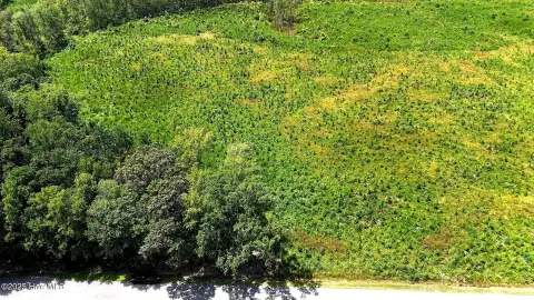 Acre Lot in New Hope