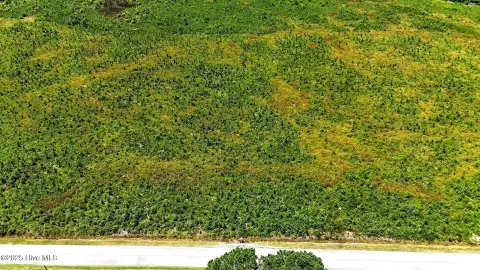 Acre Lot in New Hope