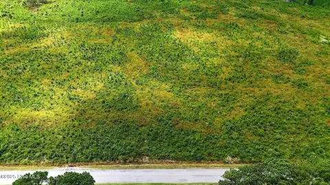 Acre Lot in New Hope