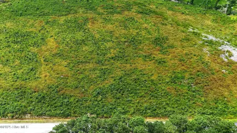 Acre Lot in New Hope