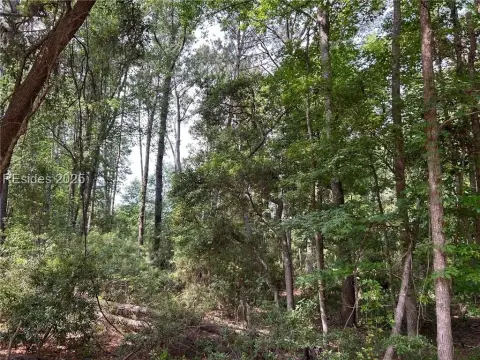 Daufuskie Island Land Opportunity
