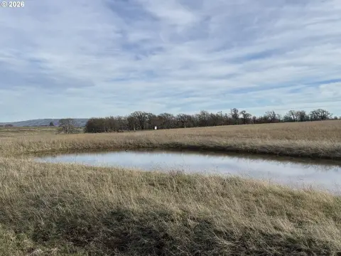 40 Acres in Goldendale, WA