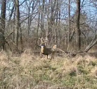 Richmond Land with Stocked Pond