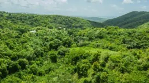 Agriculturally Zoned Land with Ocean View