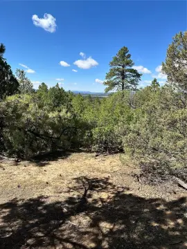 Chama Valley Camp Renegade Land