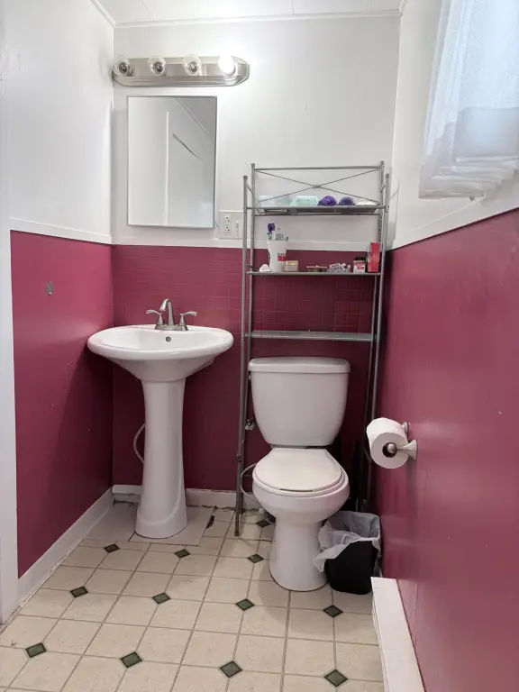 Picture 24