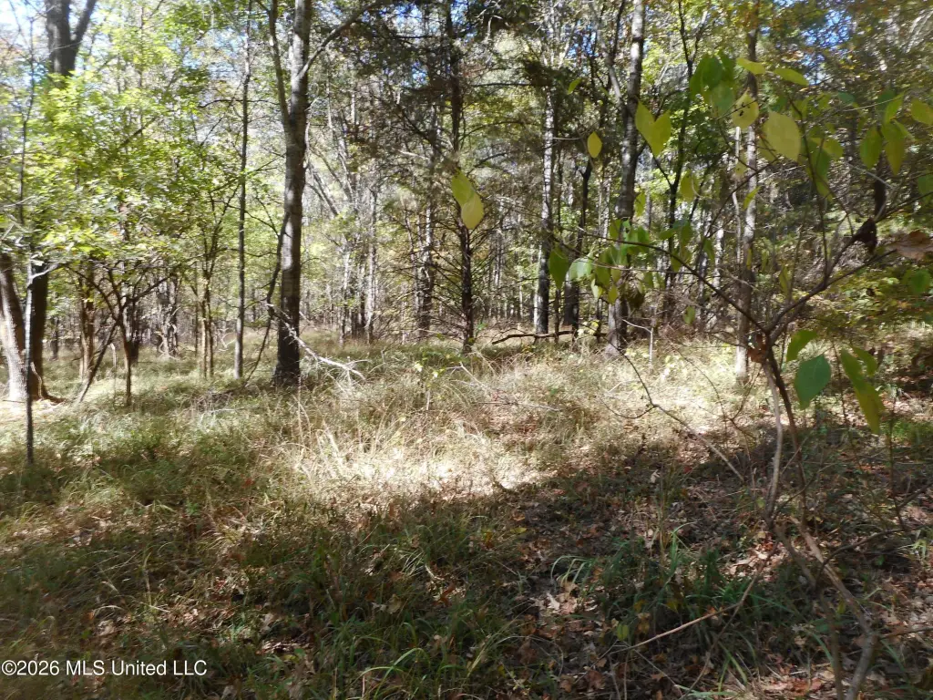 Picture 24