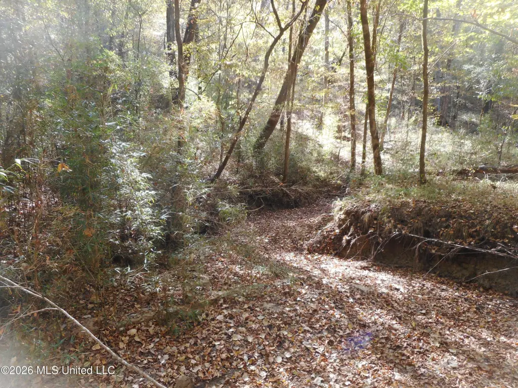 Picture 25