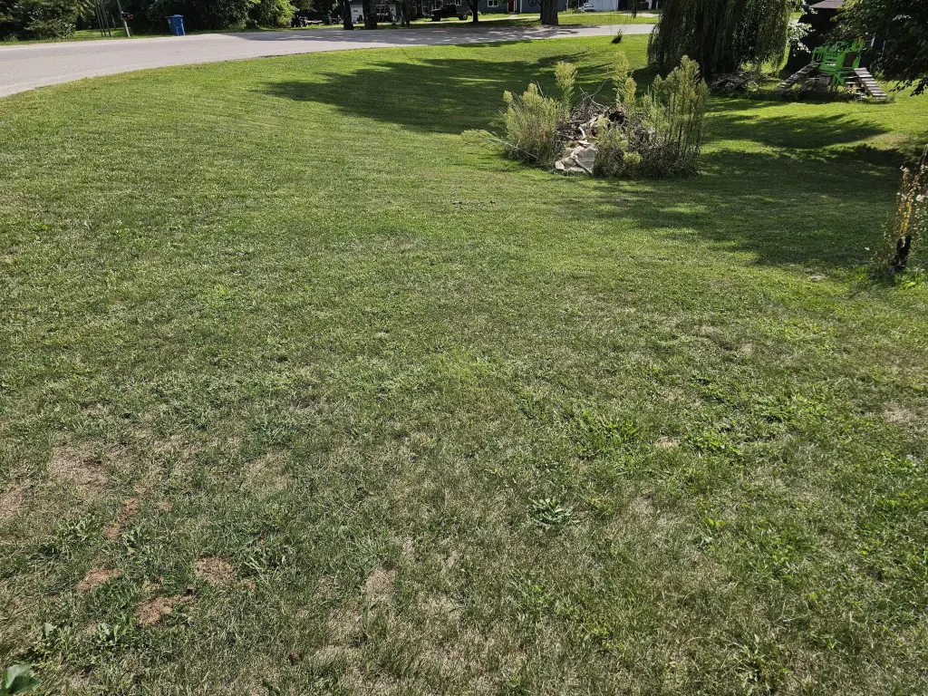 Picture 4