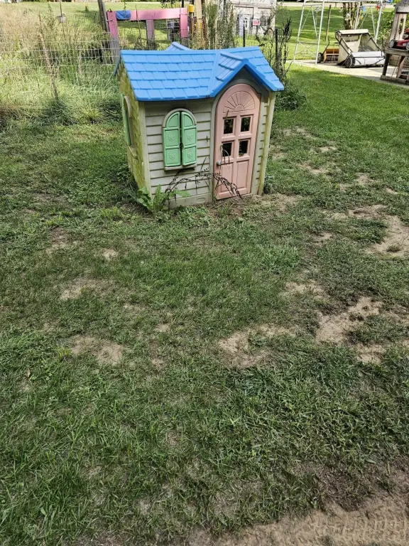 Picture 6