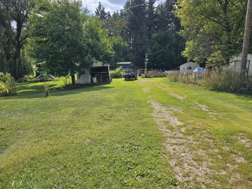 Picture 2