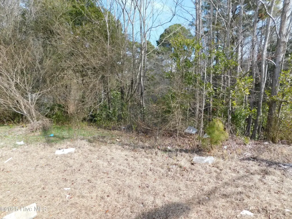 Picture 4