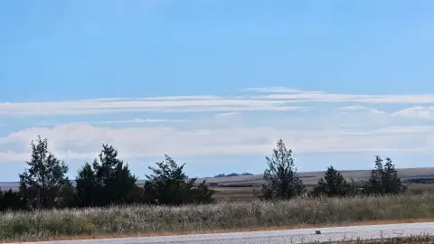 313 Acres with CRP Income