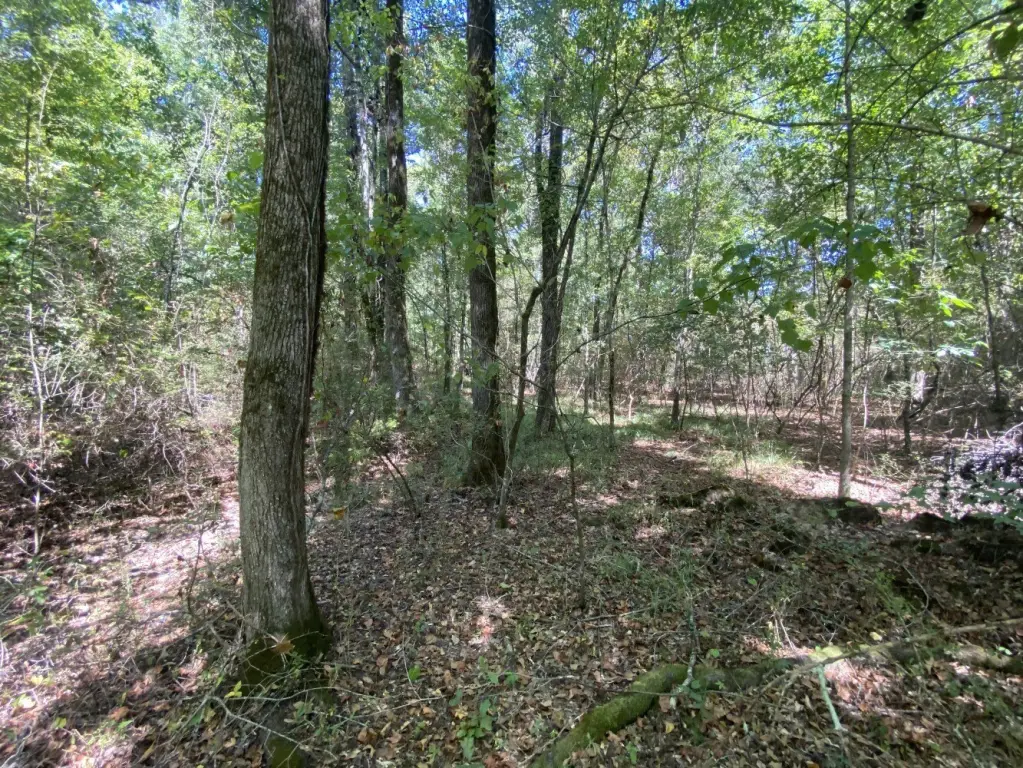 Picture 17