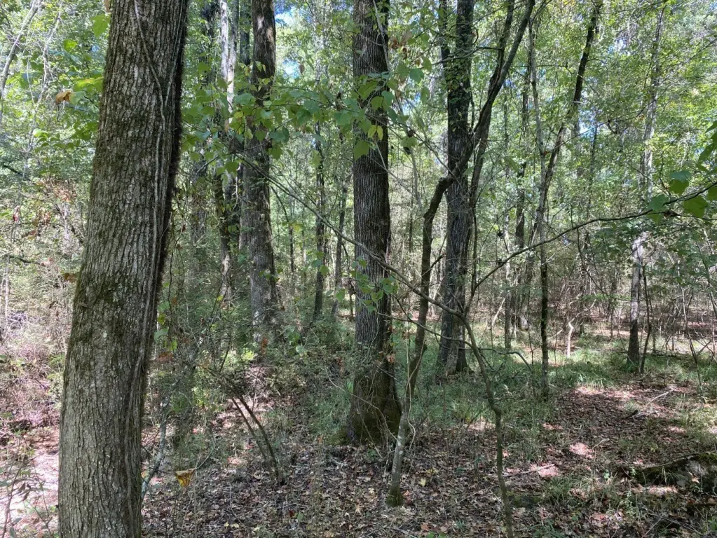 Picture 18