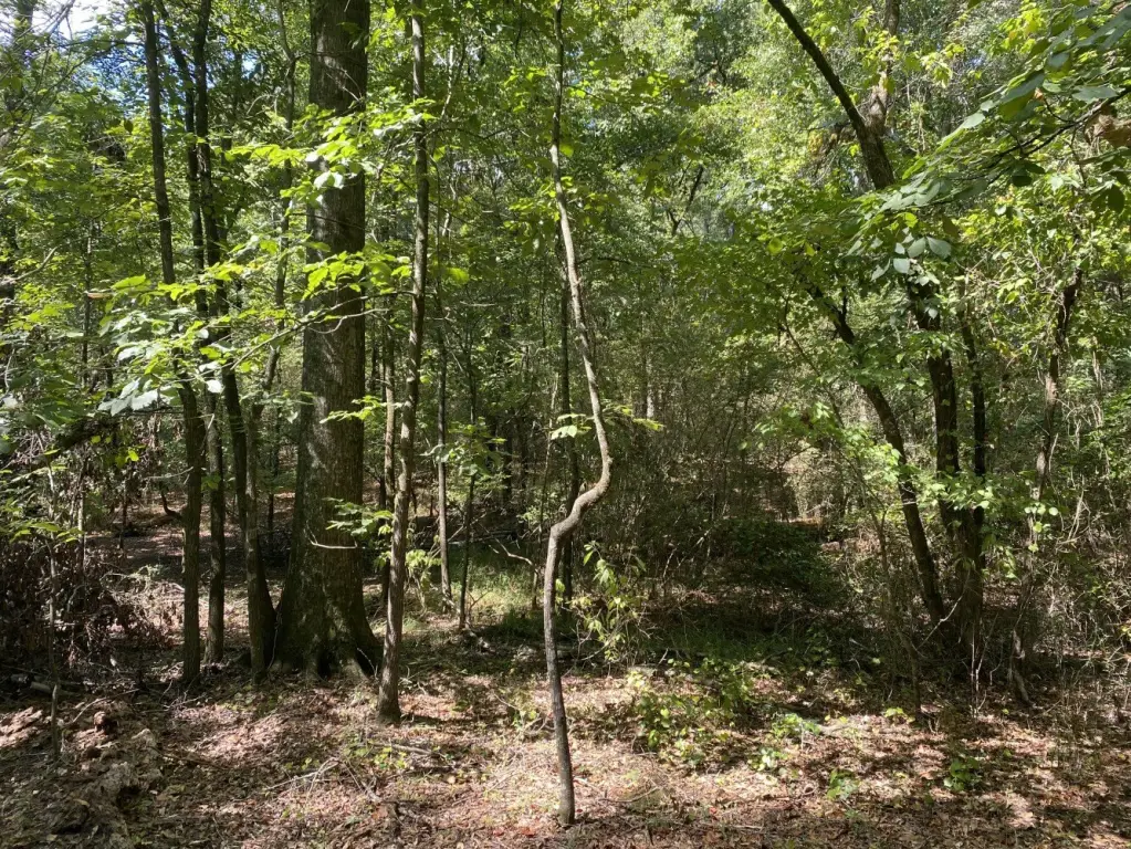 Picture 14